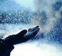 Погода в Туле 1 февраля: небольшое потепление и снег