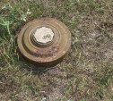 В Белевском районе нашли противотанковую мину