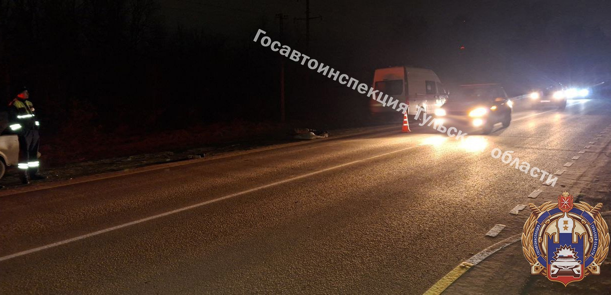 В Щекино парень за рулем ВАЗа насмерть снес 87-летнюю бабушку