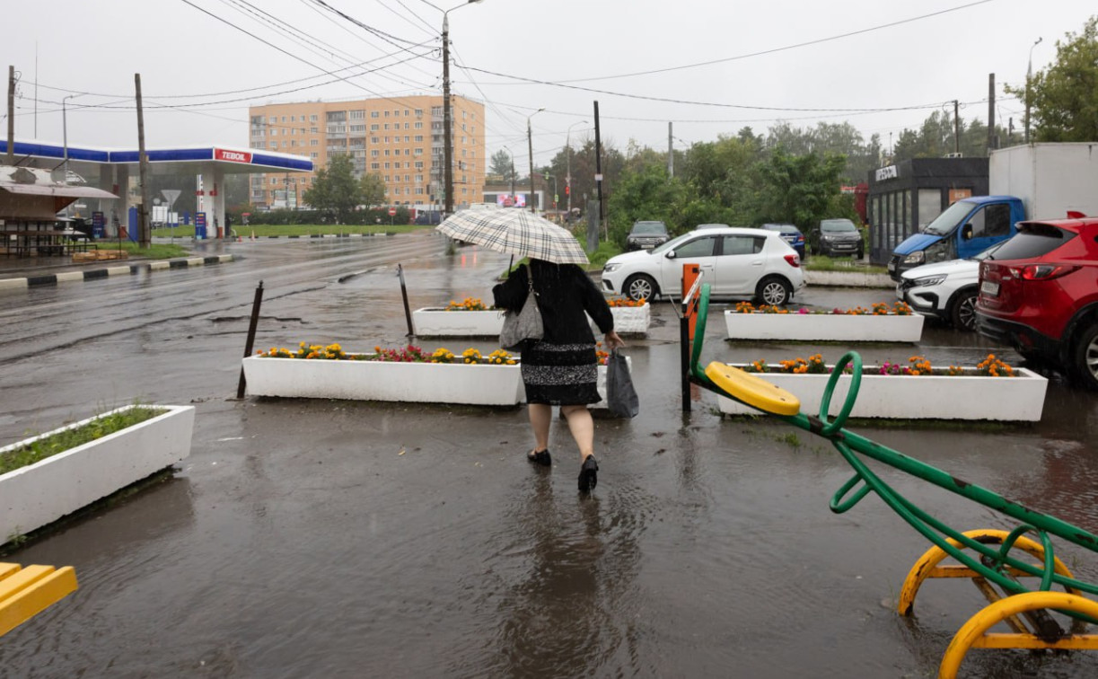 Погода в Туле 11 августа: гроза, дождь и до +22 градусов