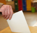 На выборах в гордуму туляки будут голосовать в семи округах