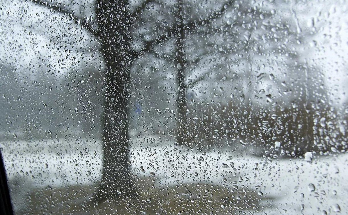 Погода в Туле 29 марта: снег с дождём, ветер и до +6 градусов