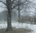 Погода в Туле 29 марта: снег с дождём, ветер и до +6 градусов