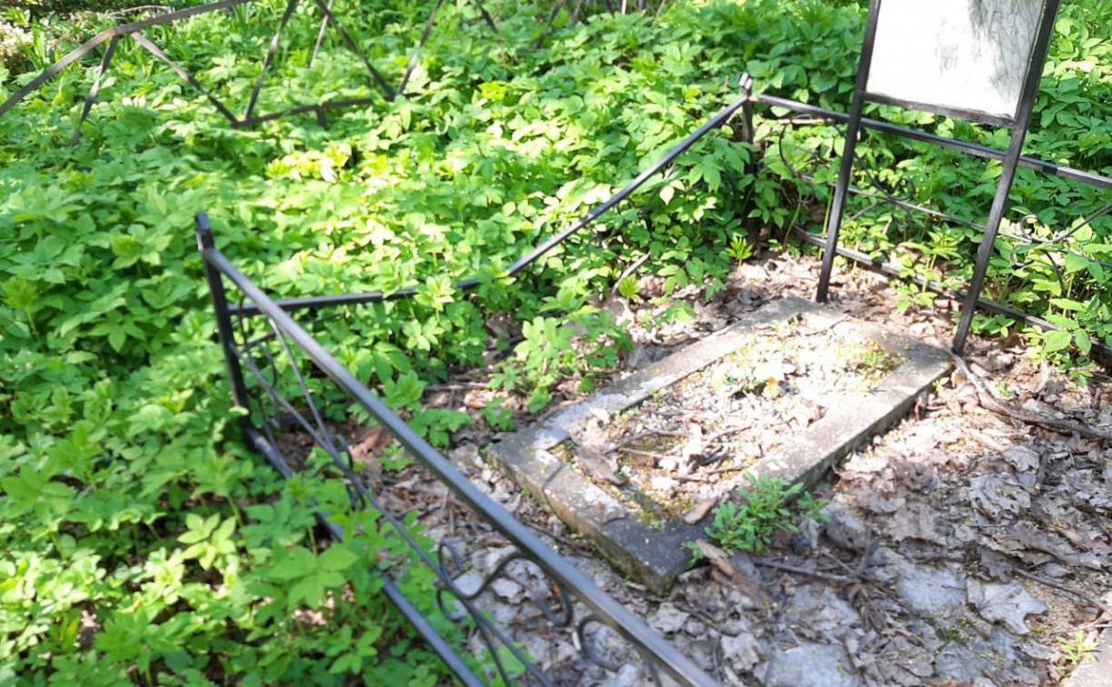 На тульском кладбище при распиле деревьев сломали ограду: чиновники списали всё на непогоду