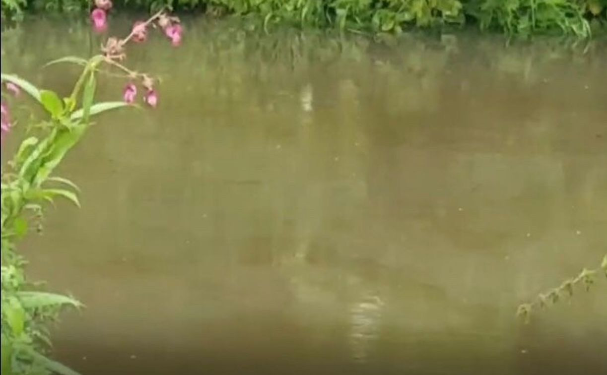 Пятна мазута на реке Воронка в Туле: минприроды проводит проверку