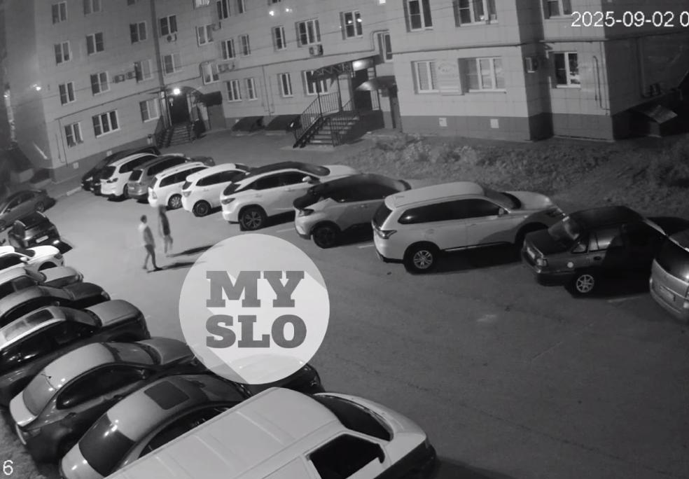 В Левобережном мужчина жестоко избил женщину