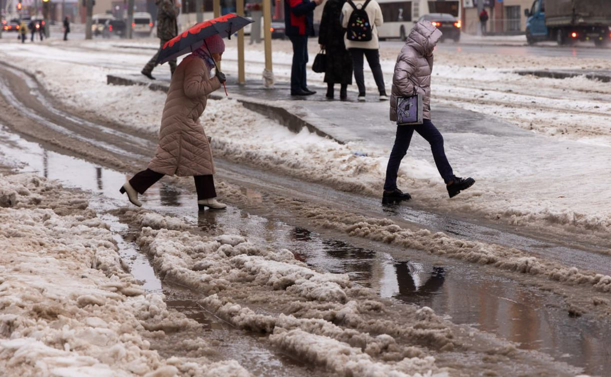Погода в Туле 1 февраля: мокрый снег и оттепель