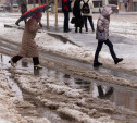 Погода в Туле 1 февраля: мокрый снег и оттепель