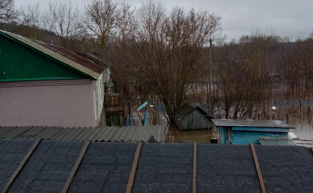 В Ефремовском районе три села и две деревни затопило талыми водами