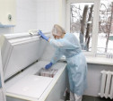 В Тульской области открыли еще 24 пункта вакцинации от коронавируса