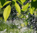 Погода в Туле 24 июля: сильный дождь с грозой и до +25