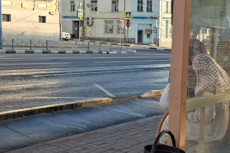 «Здесь постоянно кто-то падает!»: туляки пожаловались на опасный бордюр у остановки на Гоголевской