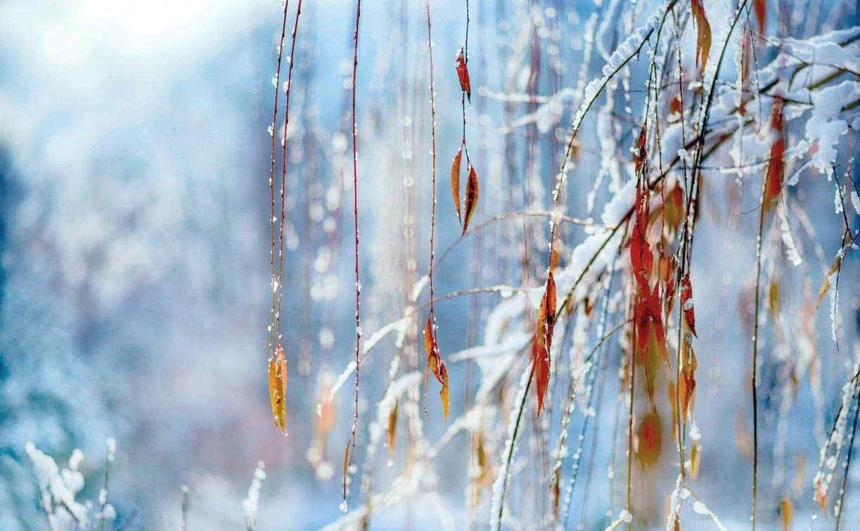 Погода в Туле 23 декабря: мороз, снег и гололедица