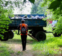 С незаконной свалки на улице Батищева в Туле вывезут 250 кубометров мусора