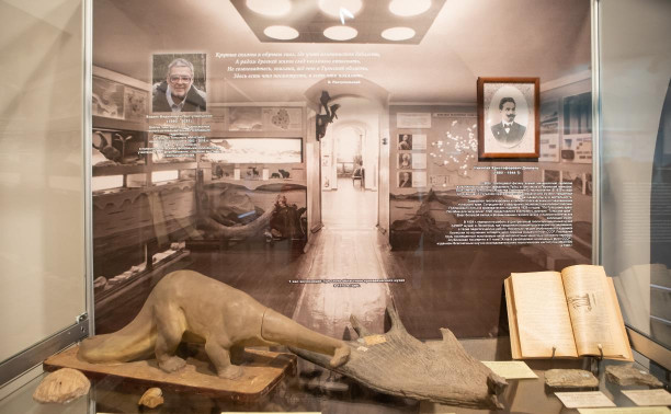 «Миллионы лет под землей»: в Тульском краеведческом музее открылась палеонтологическая выставка