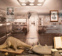 «Миллионы лет под землей»: в Тульском краеведческом музее открылась палеонтологическая выставка