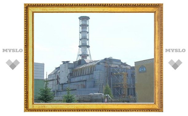 Белоруссия решила засеять Чернобыльскую зону