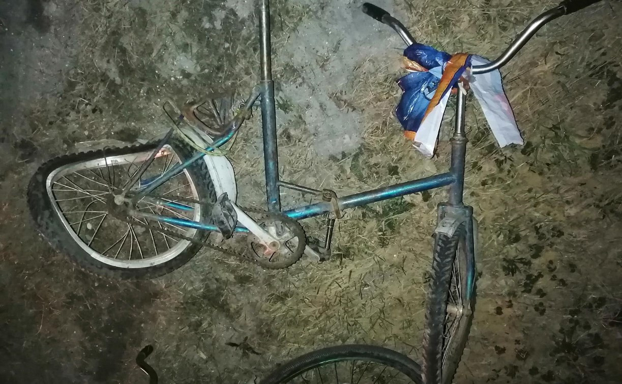 В Тульской области Renault Logan насмерть сбил велосипедиста