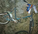 В Тульской области Renault Logan насмерть сбил велосипедиста