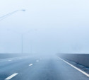 Метеопредупреждение: в Тульской области ожидается сильный туман
