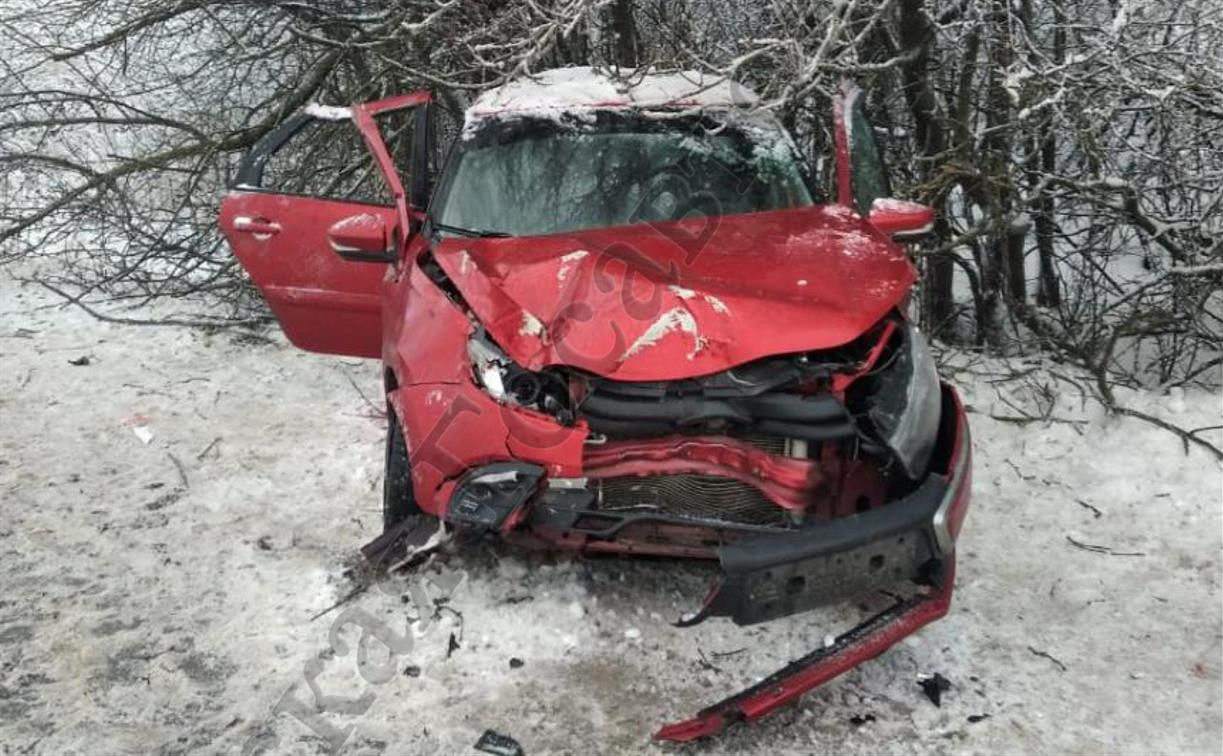 В Тульской области Lada Granta вылетела в кювет и врезалась в дерево