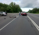 В Тульской области на трассе в лобовом столкновении пострадали несколько человек