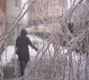 Арктическое вторжение в Центральной России завершится морозом