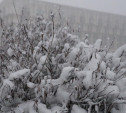 В Туле сегодня снег и гололедица 