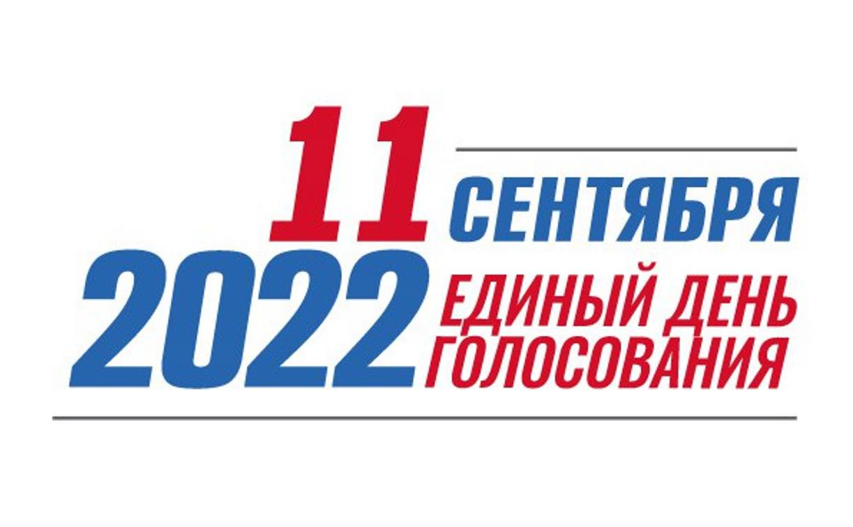 В Алексине пройдут дополнительные депутатские выборы