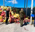 Прокуратура Тульской области проверяет организацию, сжигающую медицинские отходы