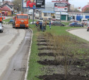 На ул. Вильямса высадили ивы