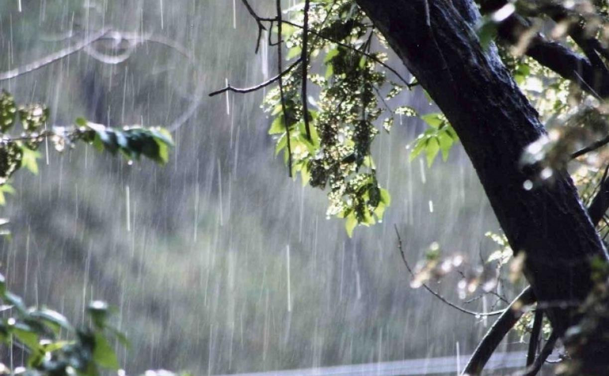 Погода в Туле 25 апреля: дождь с грозой и порывистый ветер