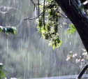 Погода в Туле 25 апреля: дождь с грозой и порывистый ветер