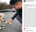 Игрок «Арсенала» Максим Беляев просит туляков помочь найти бездомного щенка