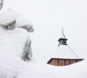 Погода 16 февраля: в Туле сильный снег и ветрено
