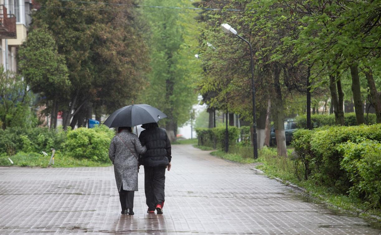 Погода в Туле 23 мая: дождливо и прохладно