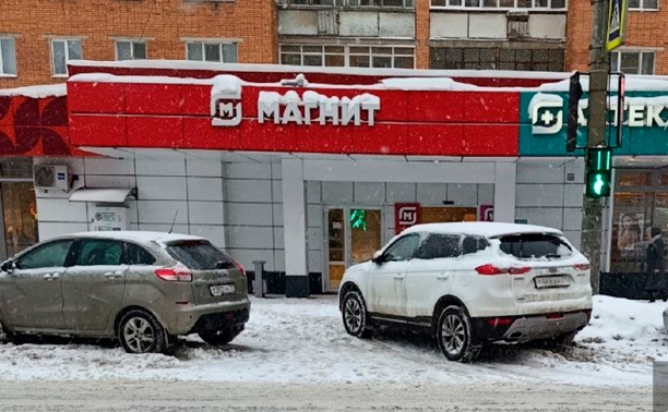 На ул. Ложевой водитель решил припарковаться прямо на пешеходном переходе