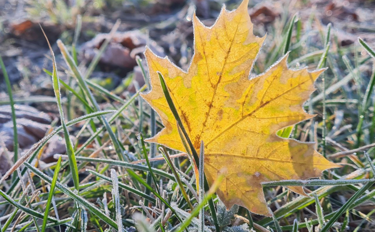 Погода в Туле 20 ноября: заморозки, гололедица и без осадков
