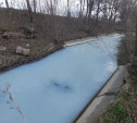 Река Рогожня в Туле стала молочной из-за коммунальной аварии