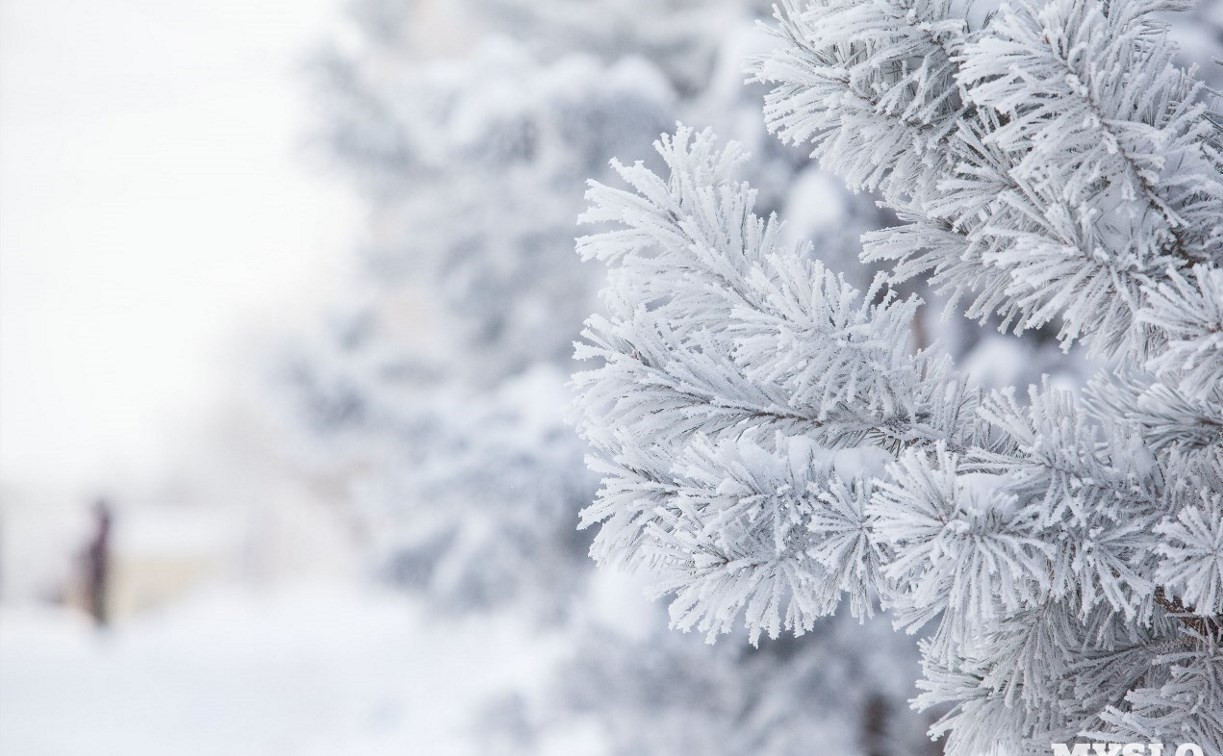 Погода в Туле 14 января: морозно и без осадков