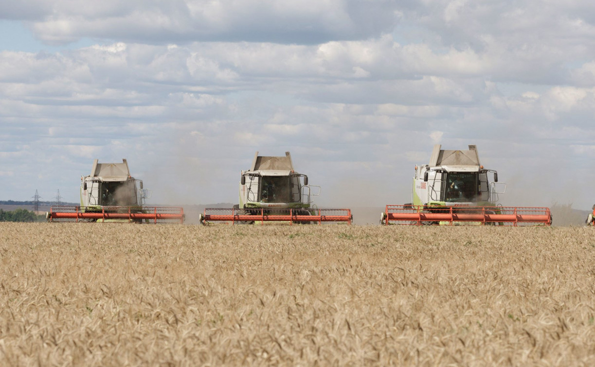 7 млрд рублей: в Тульской области продолжатся поддержка сельхозпроизводителей