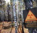 Правительство РФ хочет вдвое сократить чернобыльскую зону загрязнения