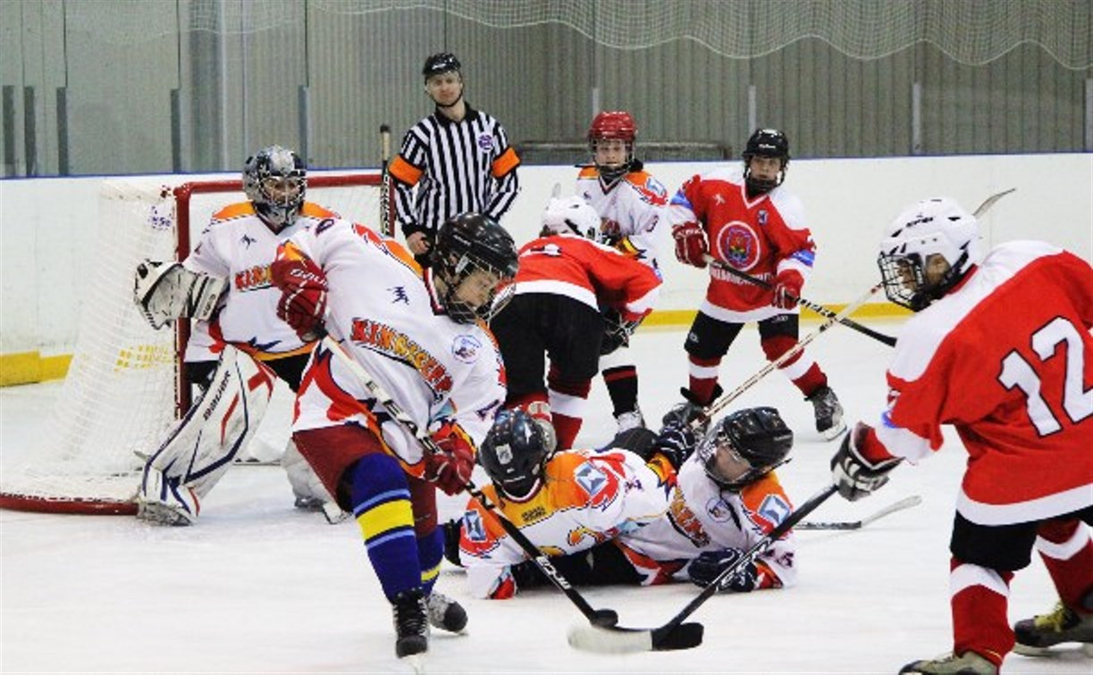 21 мая в Новомосковске откроется III международный детский хоккейный турнир