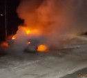 За ночь в Тульской области сгорели два автомобиля