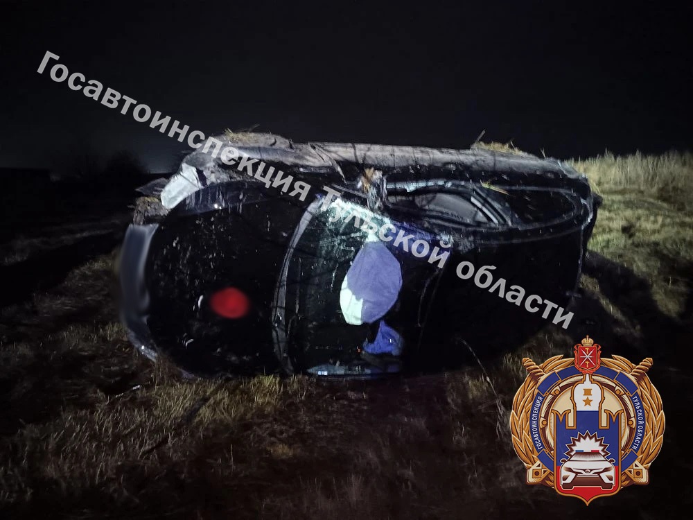 В Куркинском районе водитель на Kia разогнался и улетел в кювет 