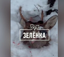 В Алексинском районе задержали браконьеров: они убили пятнистого оленя