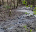 Московское предприятие отравляет реку в Тульской области 
