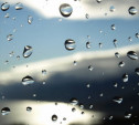 Погода в Туле 24 марта: облачность, дождь и лёгкий ветер