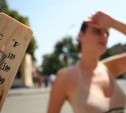 Погода в Туле 20 июня: малооблачно, жарко и без осадков