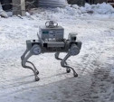 В Туле на стройплощадке прошли испытания робота-собаки: видео